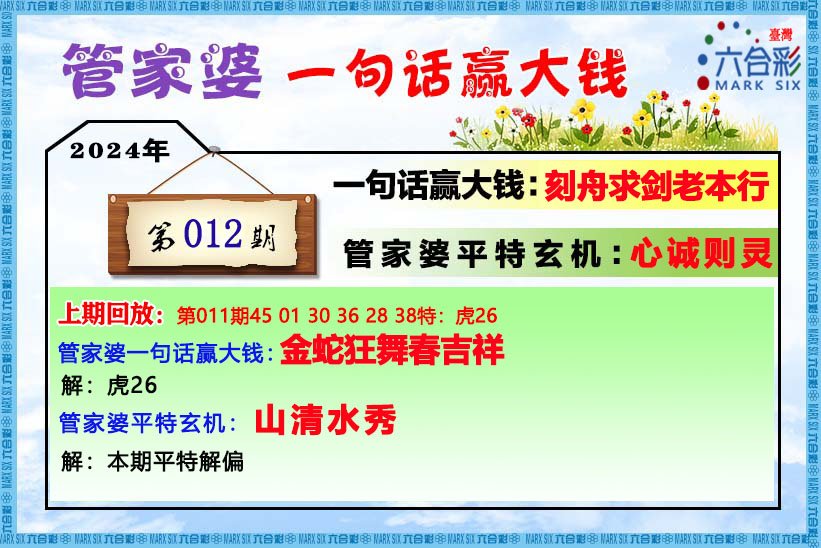 管家婆白小姐四肖四码:精选解释解析落实