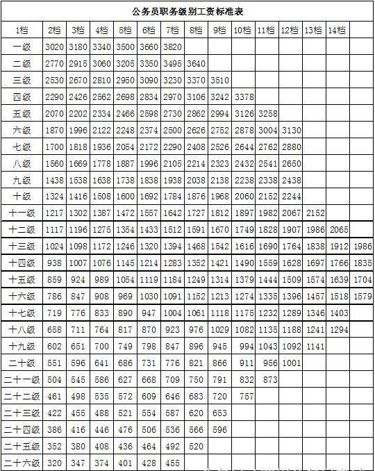 山东职级并行最新细则，构建更加公正高效的公务员管理体系