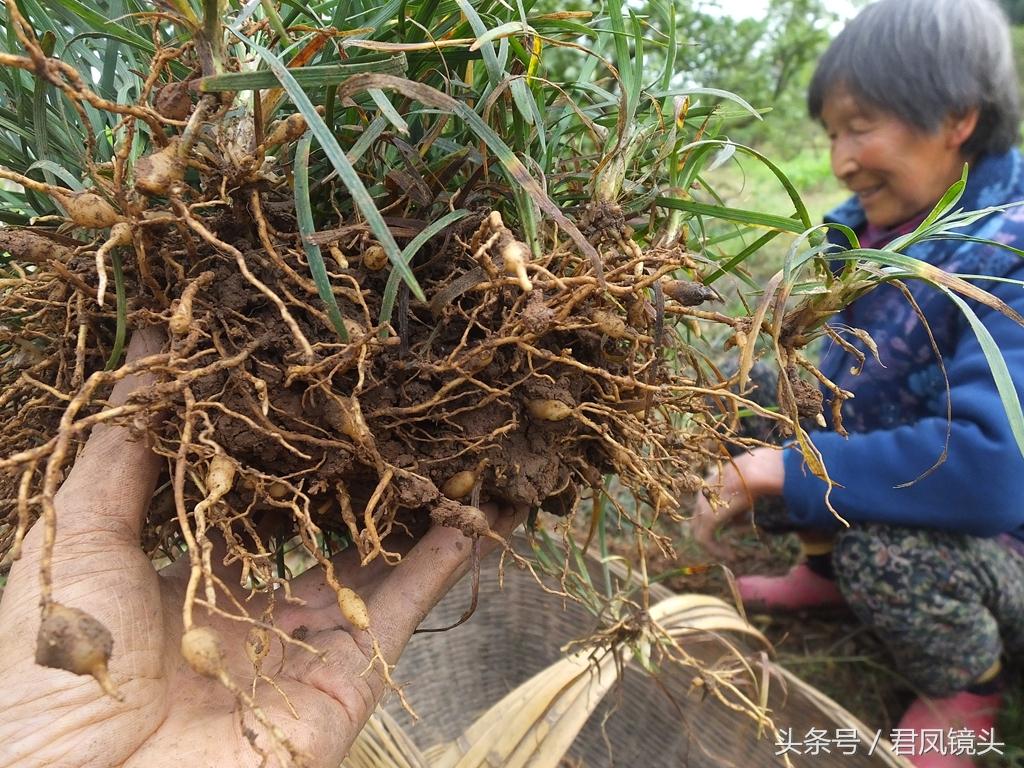 久草最新资源站，探索数字时代的无尽资源宝库